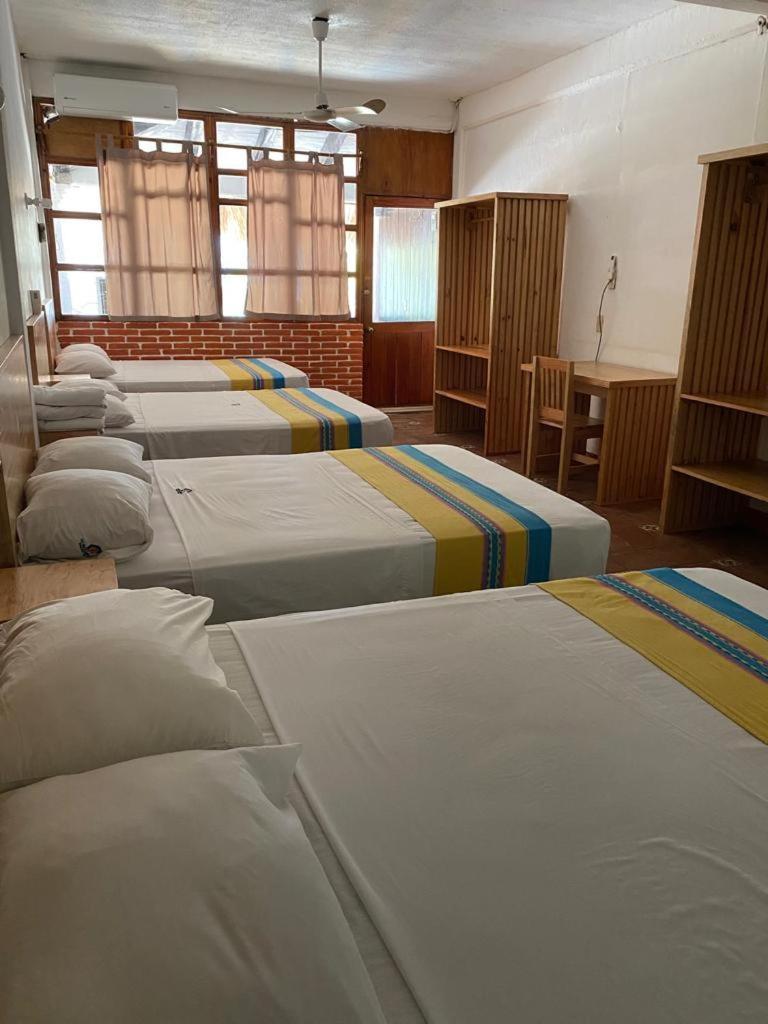 Hotel Bungalows Acuario 푸에르토 에스콘디도 외부 사진